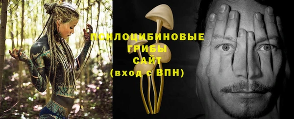 бутират Абинск