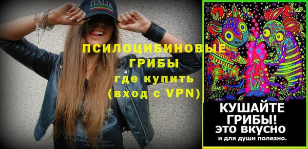 дмт Осинники