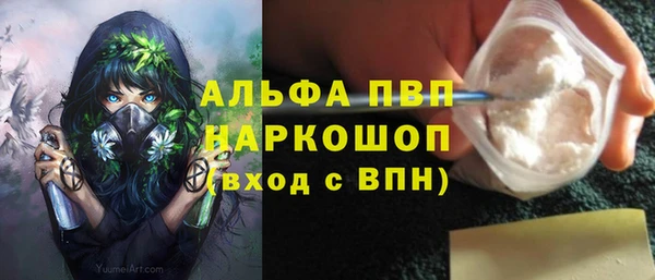 индика Кущёвская