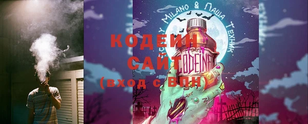 дмт Осинники