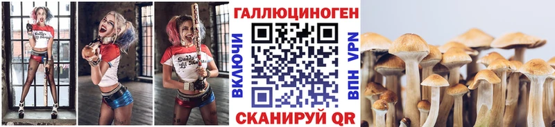 Псилоцибиновые грибы GOLDEN TEACHER  Советск 