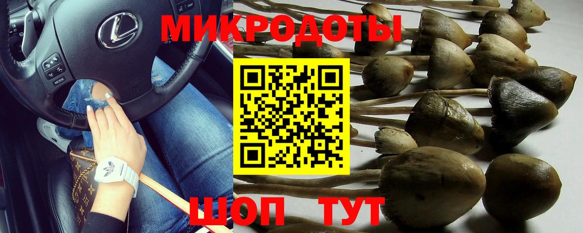 Советск  Галлюциногенные грибы прущие грибы  Вход с VPN 