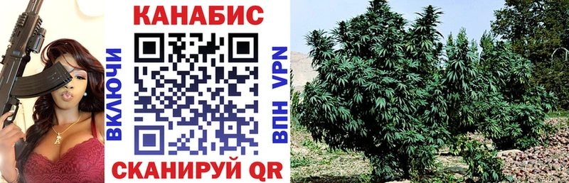 купить   Советск  Каннабис конопля 