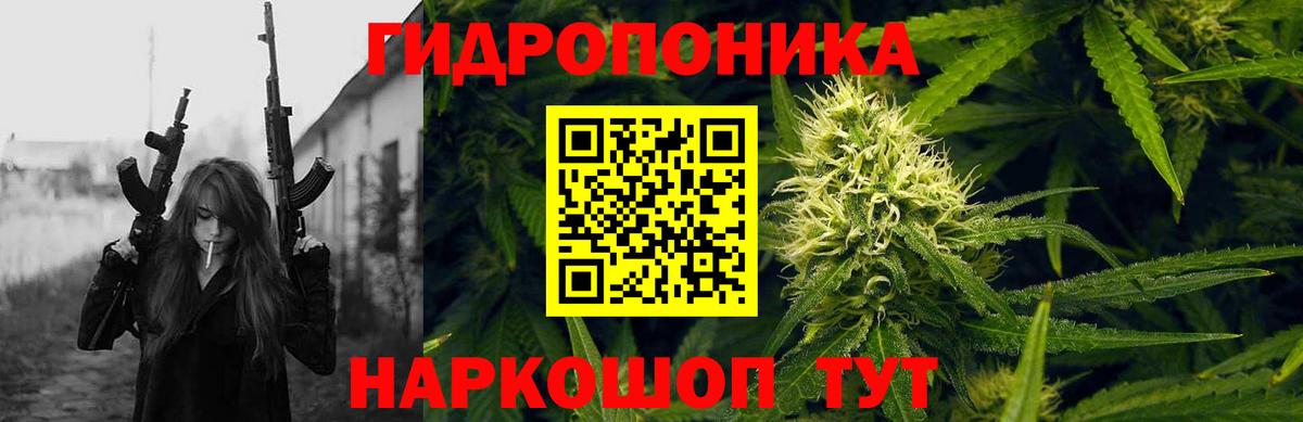 Бошки Шишки план Советск